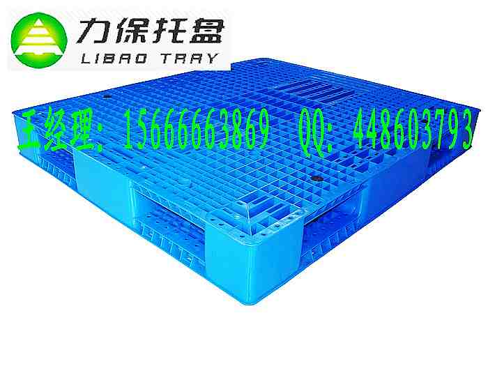 <a href=http://www.cn-pe.net target=_blank>塑料<a href=http://www.cn-pe.net target=_blank>托盘</a></a>厂家